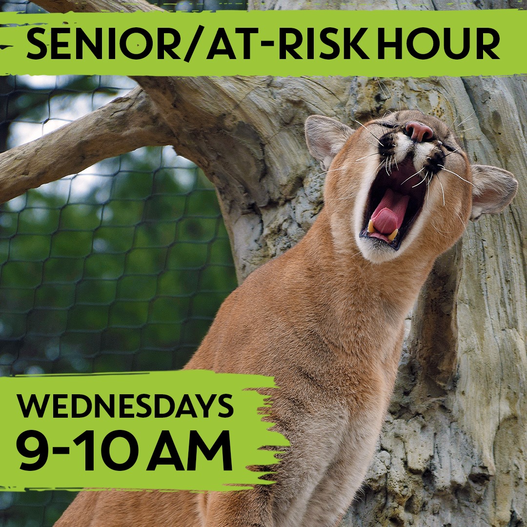 Seniors/high Risk Hour!